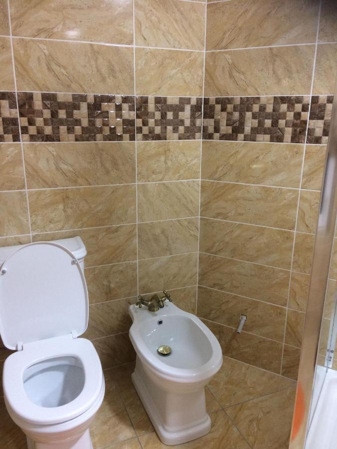 BorşaVila Floarea De Coltアパートメント エクステリア 写真