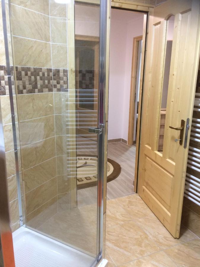BorşaVila Floarea De Coltアパートメント エクステリア 写真