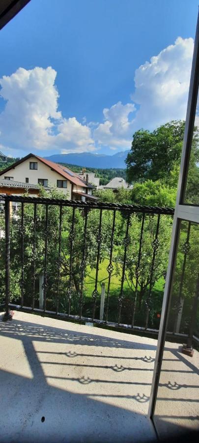 BorşaVila Floarea De Coltアパートメント エクステリア 写真