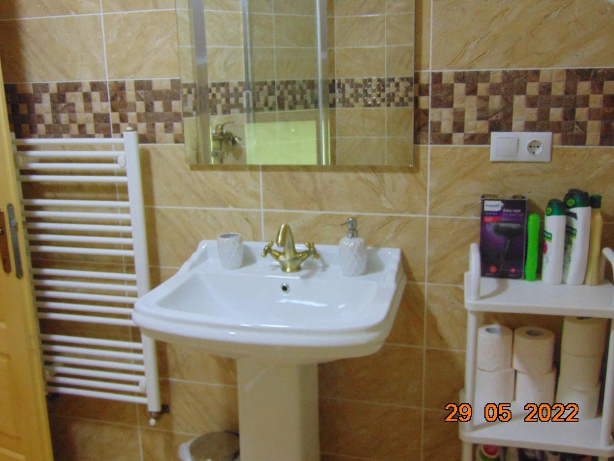 BorşaVila Floarea De Coltアパートメント エクステリア 写真